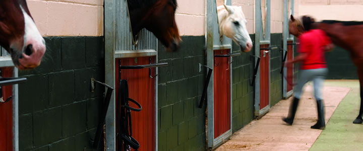 Livery Yards & Stables Bath