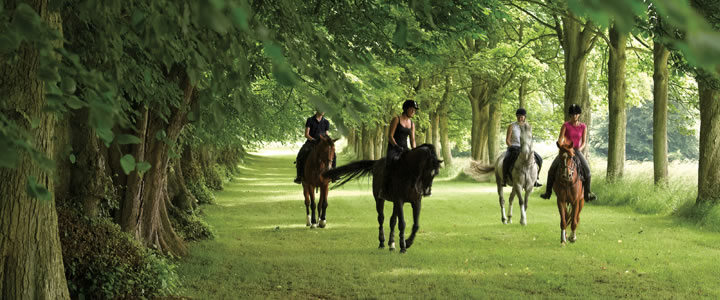 The Equestrian Centre near Bath