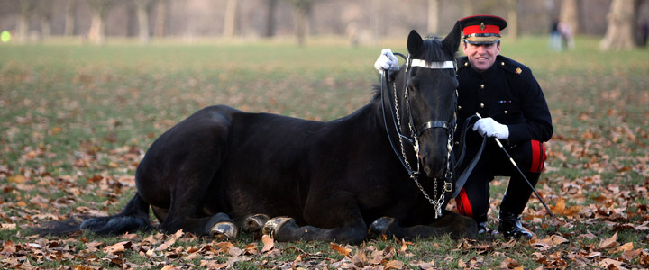 Horse Riding Events near Bath