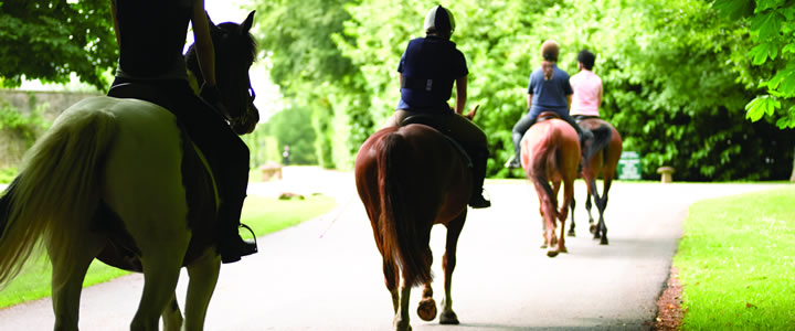 Team building events at Lucknam Park, Bath
