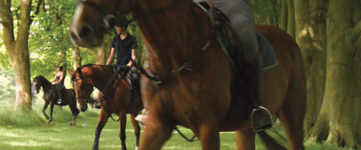 The stables at Lucknam Park