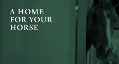 A Home For Your Horse