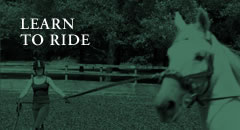 Learn To Ride